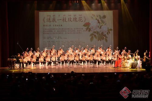 花韻琵琶傳雅韻，彩云之南奏華章——首屆彩云花韻琵琶文化藝術(shù)周系列活動(dòng)圓滿落幕